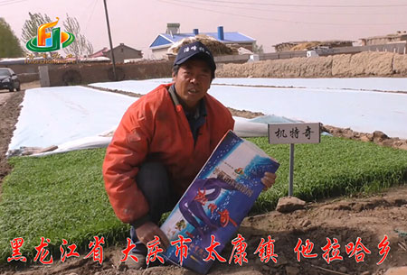 大慶-太康鎮-用戶(hù)回訪(fǎng)視頻