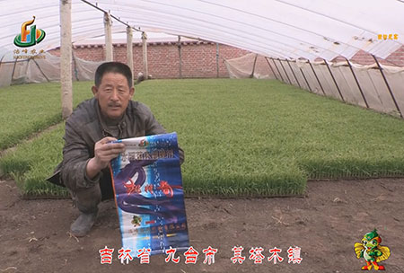 吉林省-九臺市-其塔木鎮-用戶(hù)回訪(fǎng)視頻