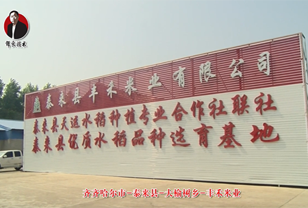 泰來(lái)縣-大榆樹(shù)鄉-豐禾米業(yè)